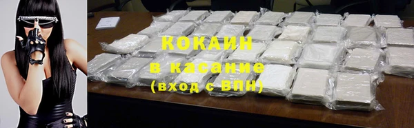 МДПВ Инсар