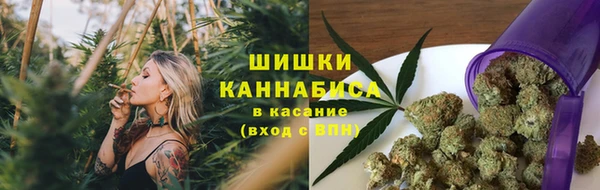 ГАЛЛЮЦИНОГЕННЫЕ ГРИБЫ Абдулино