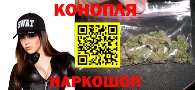 крисы Кунгур