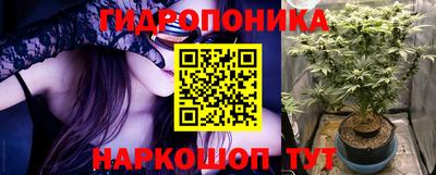 крисы Кунгур