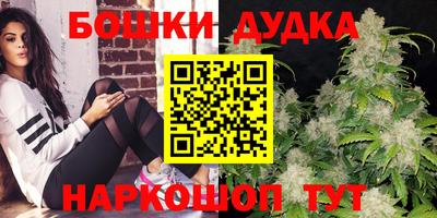крисы Кунгур