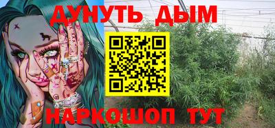 крисы Кунгур