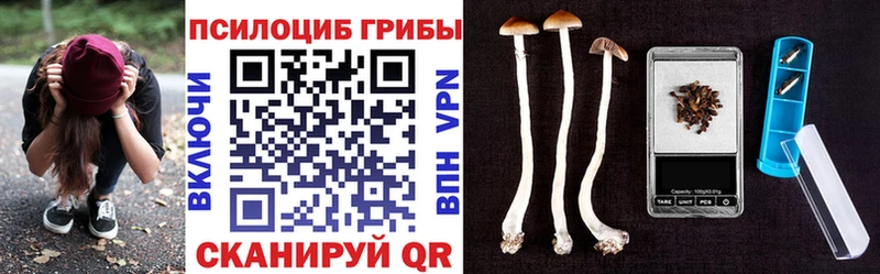 Галлюциногенные грибы мухоморы  что такое наркотик  ссылка на мегу сайт  Костомукша 