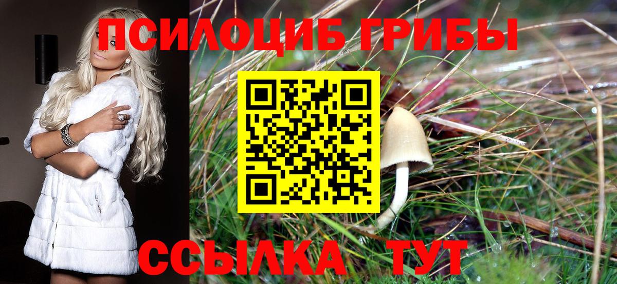 Псилоцибиновые грибы прущие грибы  Вход с VPN  Псилоцибиновые грибы Cubensis  Костомукша 